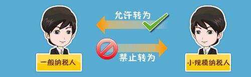 关于财务如何不被转为一般纳税人的办法