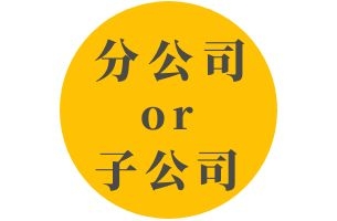 公司扩大了，设立分公司还是设立子公司？