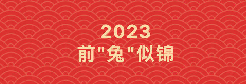 前"兔"似锦 逐梦有你